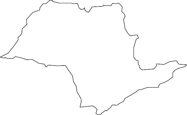 Kat jeyografik nan São Paulo vecteur